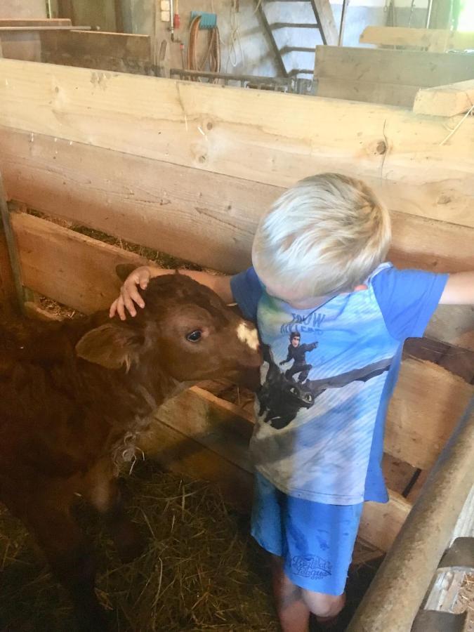 Willa Hof Hintererb Kitzbühel Zewnętrze zdjęcie